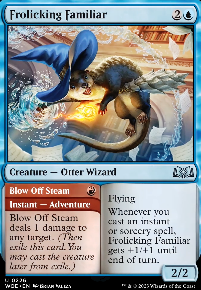Codie's Adventures Deluxe / EDH MTG Deck)